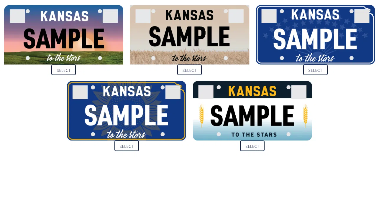 Residents asked to vote on preferred personalized license plate design through Friday