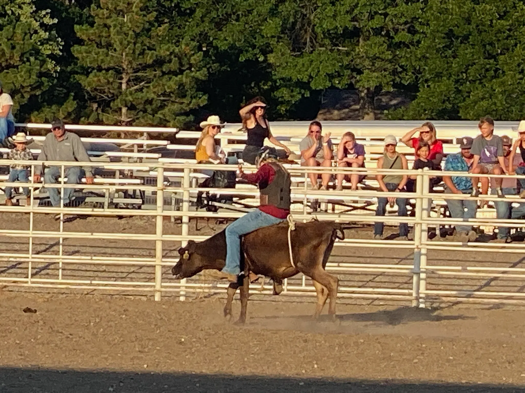 LYON COUNTY FAIR: 4H Rodeo, Aug. 7, 2024