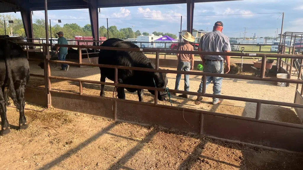 LYON COUNTY FAIR: Premium Sale August 11, 2024