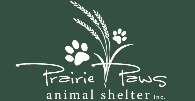 Cowie: Shift to 'retail hours' designed to foster more adoptions through Emporia animal shelter