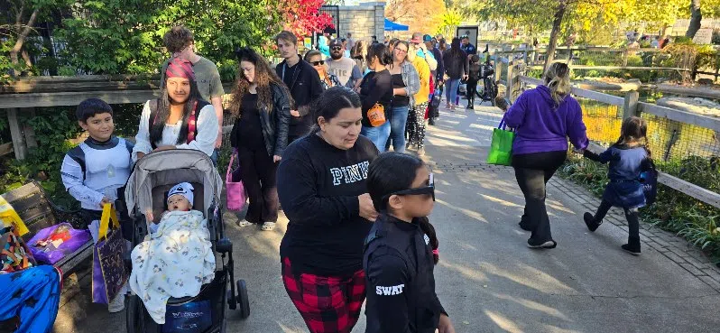 Thousands of residents once again kick off local trick-or-treating activities with a visit to David Traylor Zoo Thursday