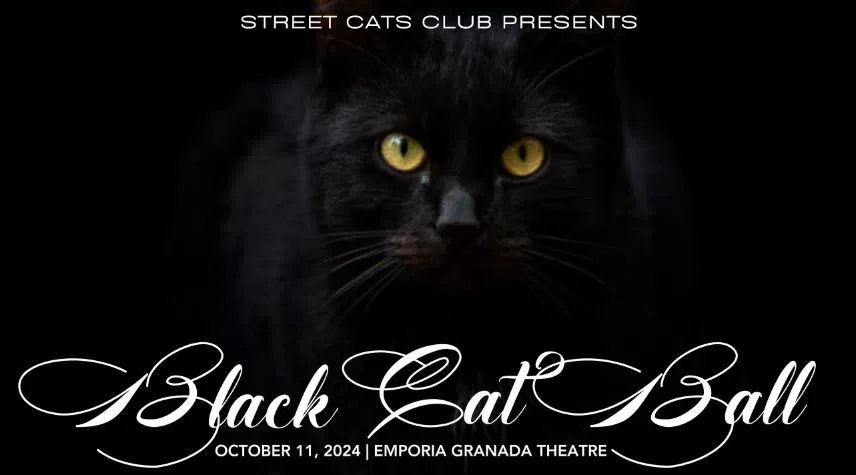 Second annual Black Cat Ball coming Friday