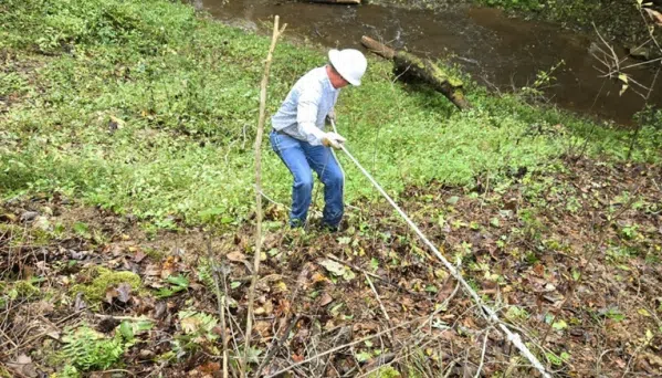 Kentucky's mountainous terrain causing 'super manual labor' for Evergy crews working to restore power after Helene