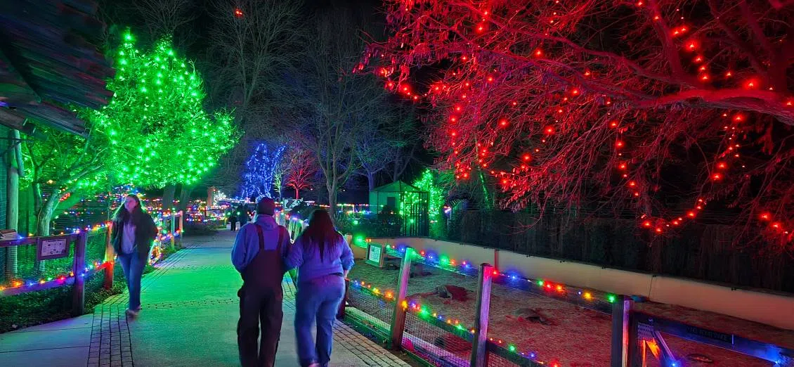 Nearly 35,000 feet of lights switched on at annual David Traylor Zoo Happy Holidaze event Tuesday night