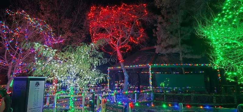 Holiday Light Stroll returning to David Traylor Zoo on Saturday