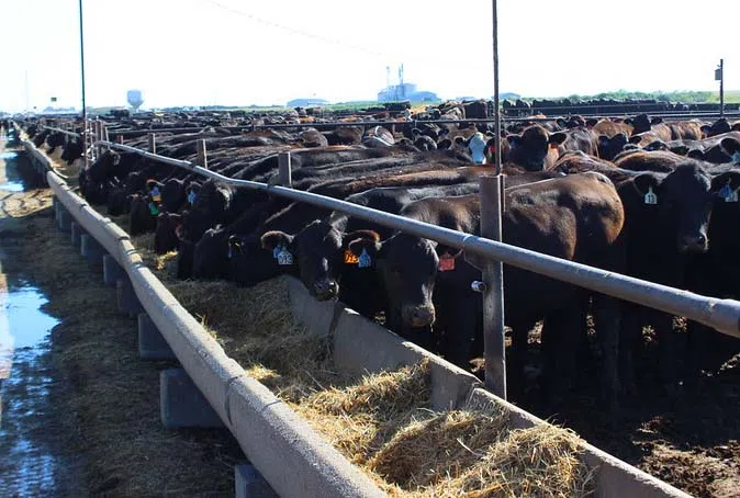 Cost-share program to help Kansas ranchers seeking water technology improvements