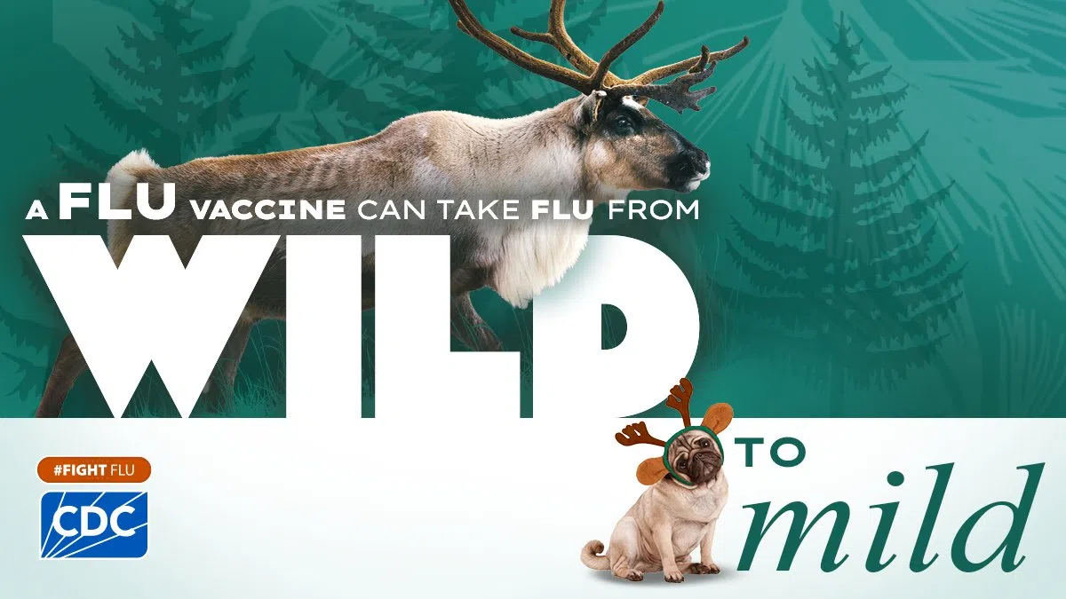 Flu, pneumonia cases on rise as Christmas approaches