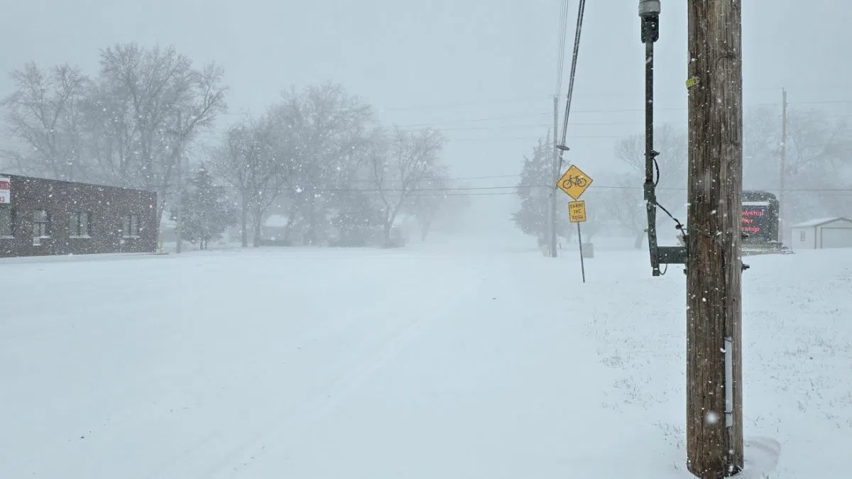State granted more time to develop federal disaster declaration paperwork after Jan. 4-5 winter storm