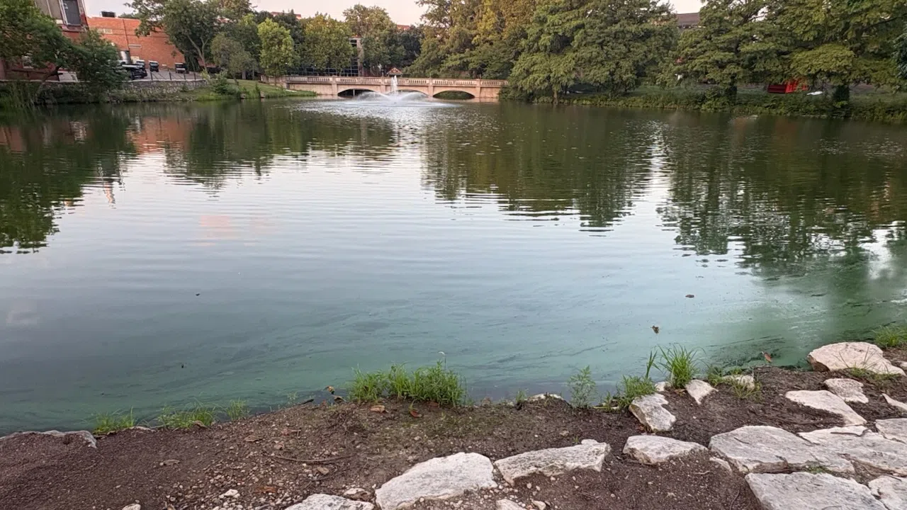 KDHE upgrades King Lake to algae warning, adds Wooster Lake to watch list