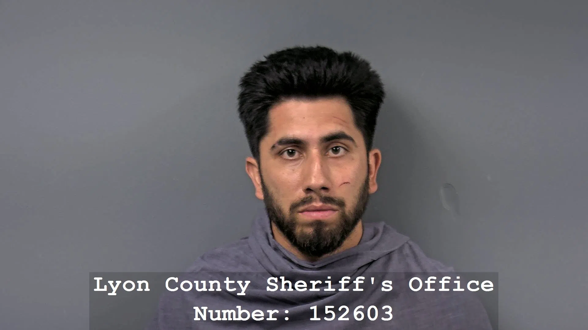 Formal flee and elude, aggravated child endangerment charges filed after alleged chase