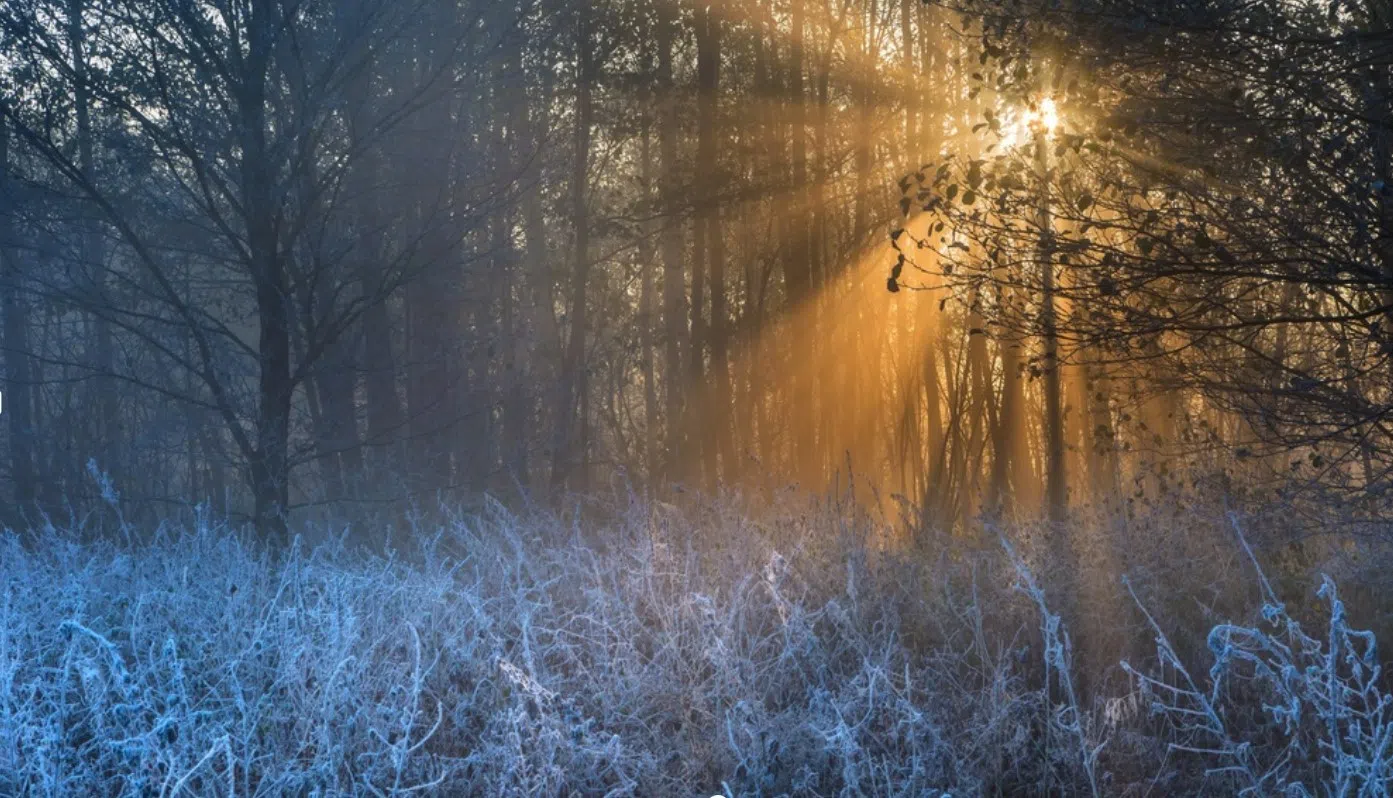 First cold-weather alerts of season to take effect shortly after wind advisories end areawide