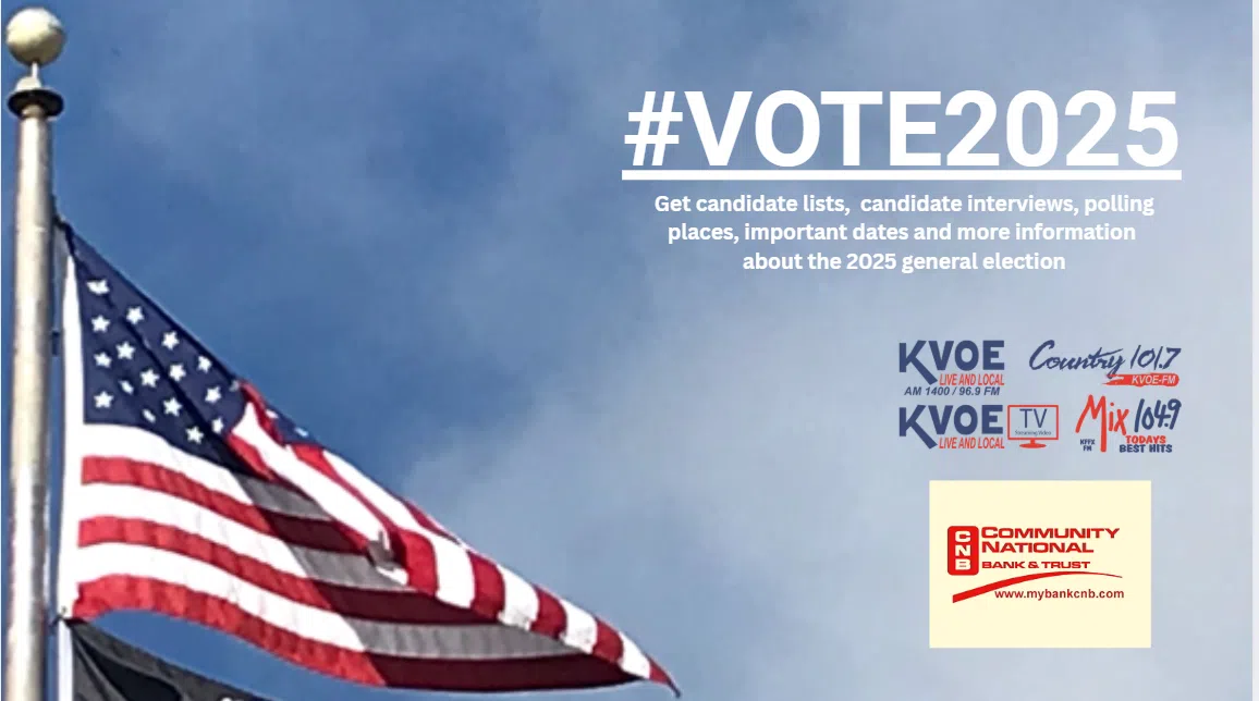 2025 general election results