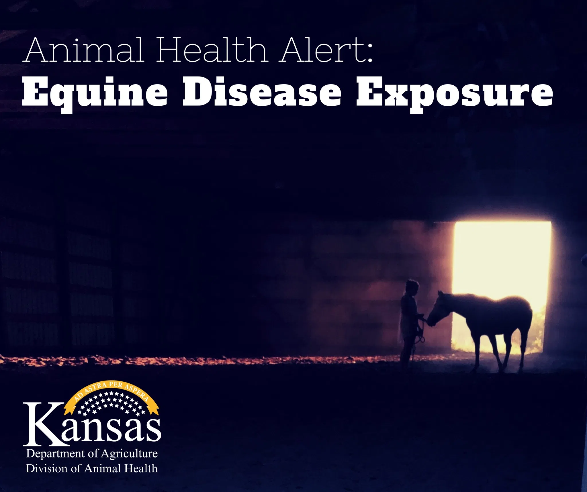 Animal Health Alert announced for Kansas due to scattered nationwide spread of Equine Herpesvirus Myeloencephalopathy