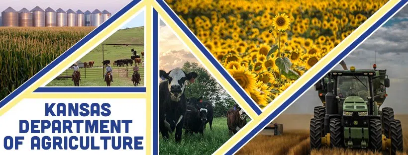 Health code issues noted at two Emporia restaurants, grocery