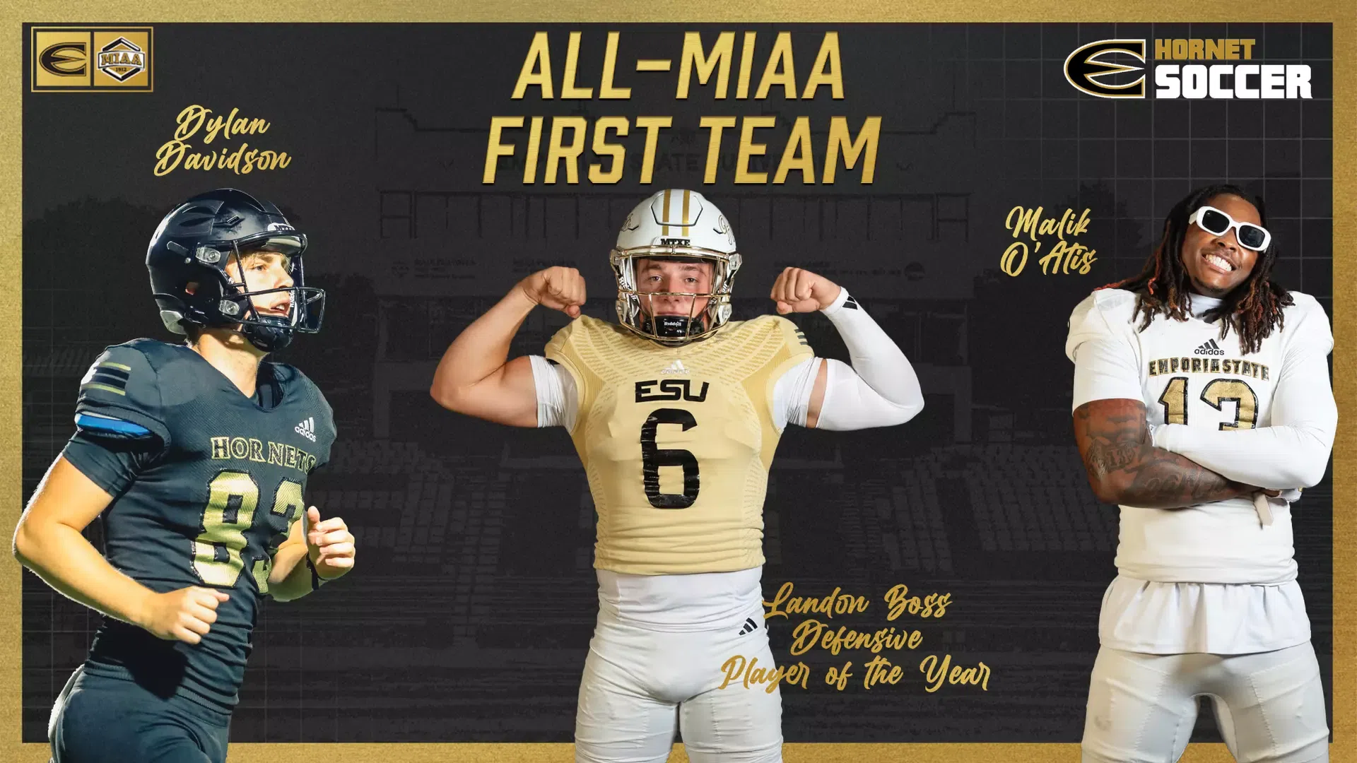 Boss is Defensive Player of the Year to Highlight MIAA Football Awards for Hornets