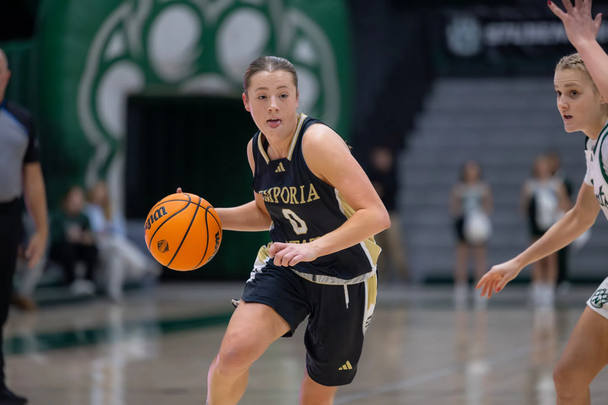 Hornets Drop MIAA Openers at Northwest