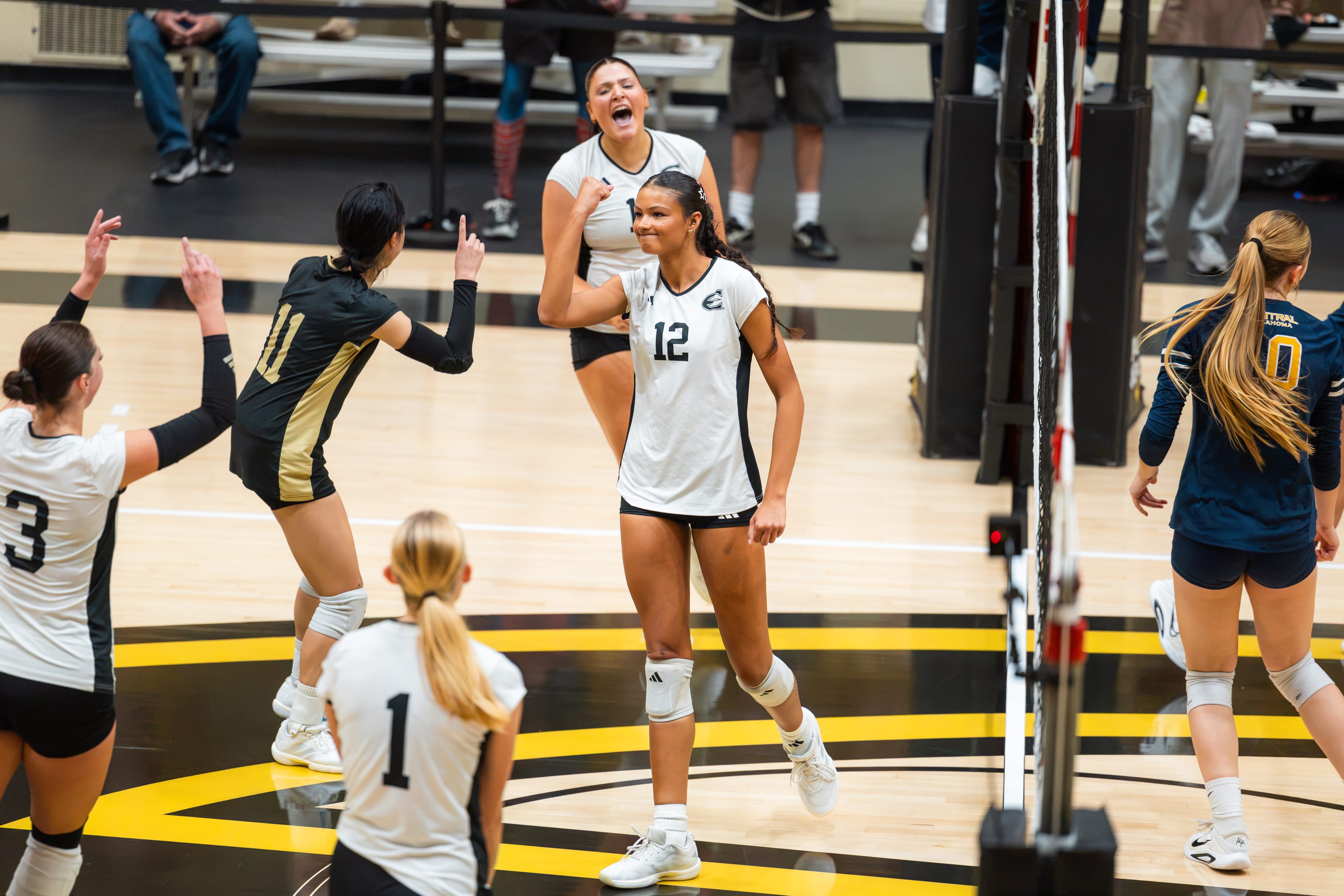 #12 Hornets Roll #23 Bronchos in Sweep