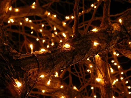 Still Time to Recycle Your Unwanted Christmas Lights