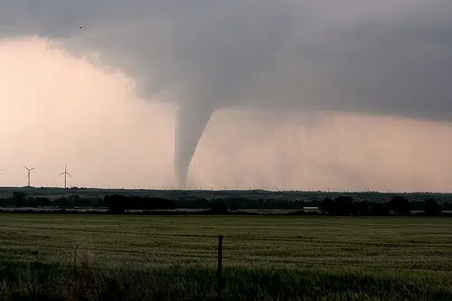 One Dead In Ottawa Tornado, Storms Cut Across Illinois 
