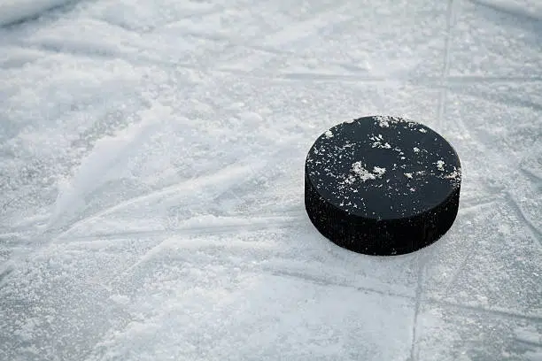 Minor League Hockey League Promises No Knees During Anthem
