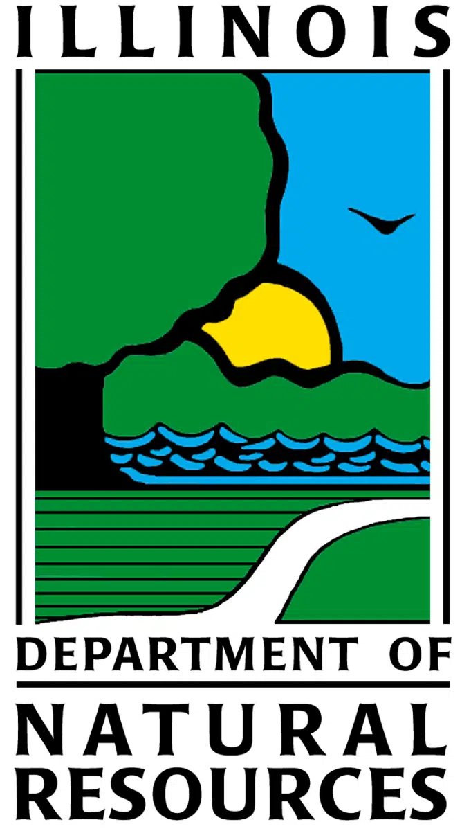 Illinois DNR To Auction Seized Hunting, Fishing Items