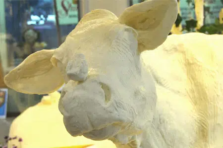 Illinois Butter Cow Unveiled Ahead Of State Fair
