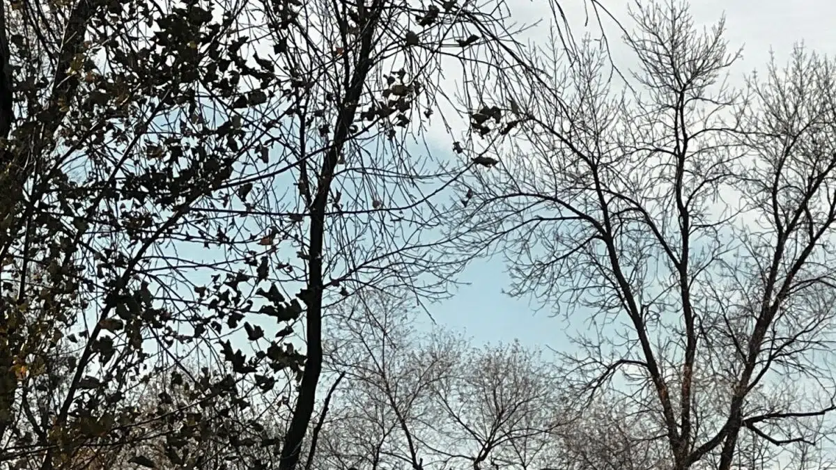 Highway Patrol silent on Dell Rapids accident KELOAM