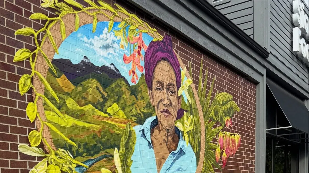 New mural on Sioux Falls Food Co-Op building celebrates farmers