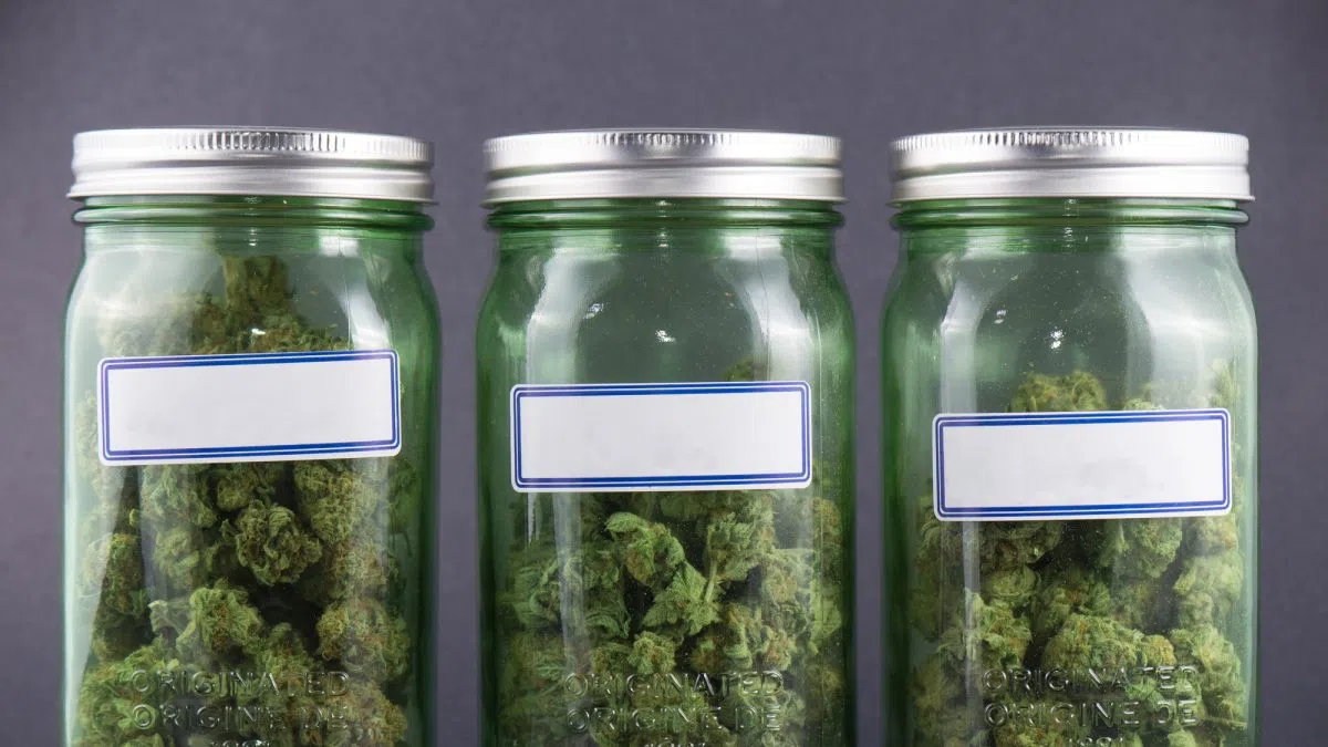 A Black Hills Cannabis company is suing the city of Rapid City