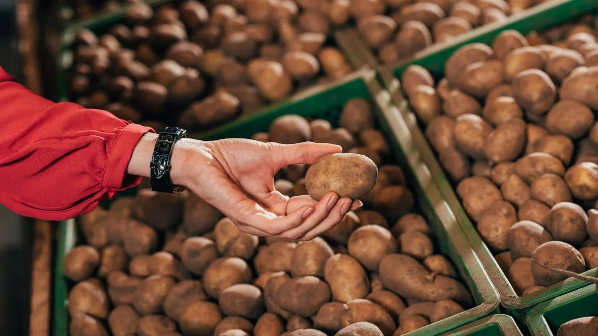 Faith Temple Church in Sioux falls is giving away two hundred thousand pounds of potatoes
