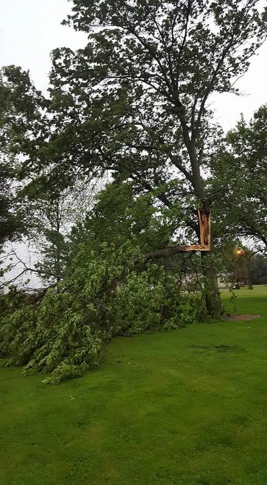 Strong storms wreaked some havoc on Saturday evening 