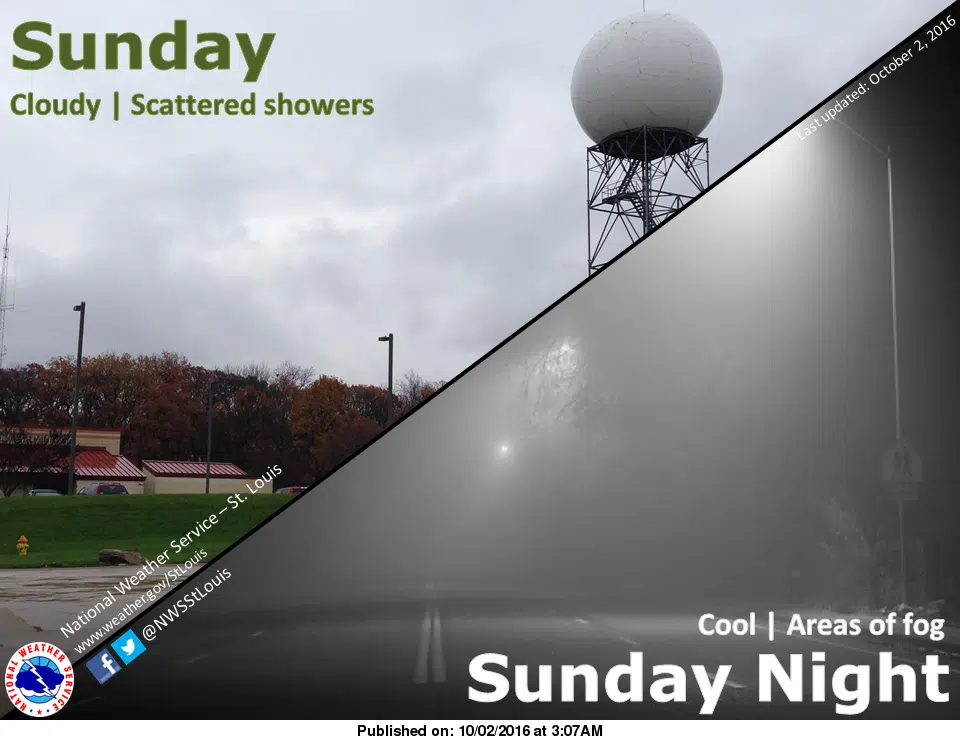 Cloudy and mild Sunday for the area 