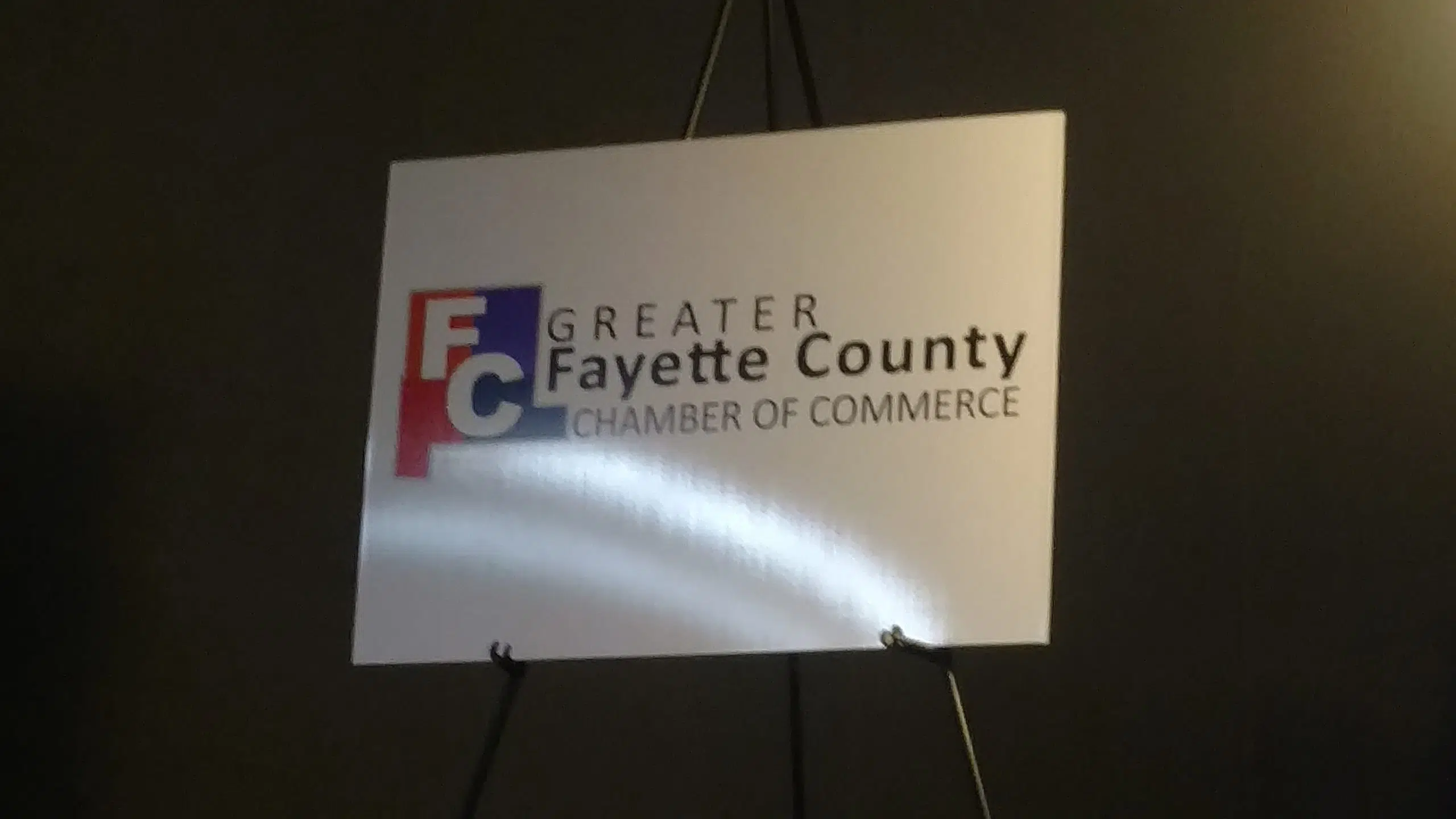 Hopkins, Wilber win Abe Awards--New Greater Fayette County Chamber logo unveiled 