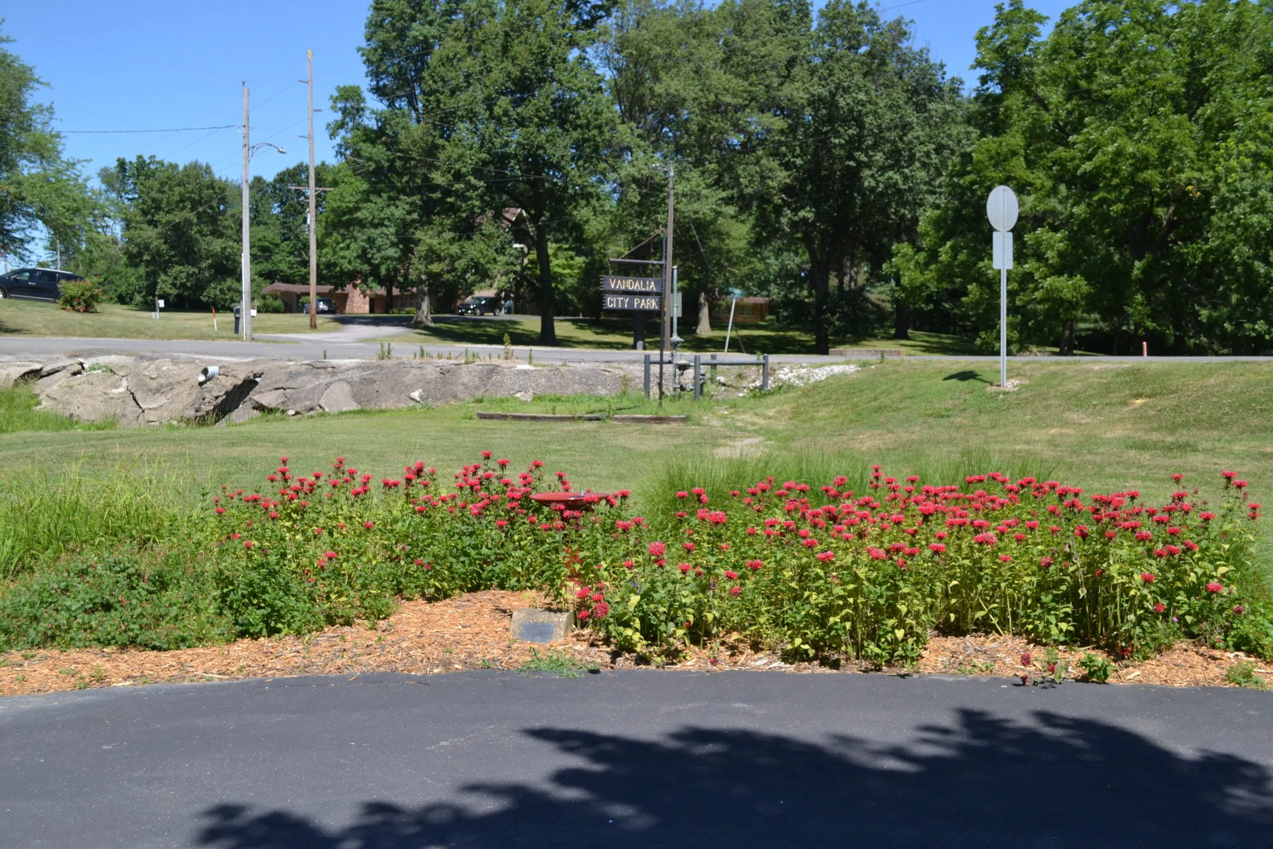 Sunshine and mild temps again today, could see a shower overnight tonight