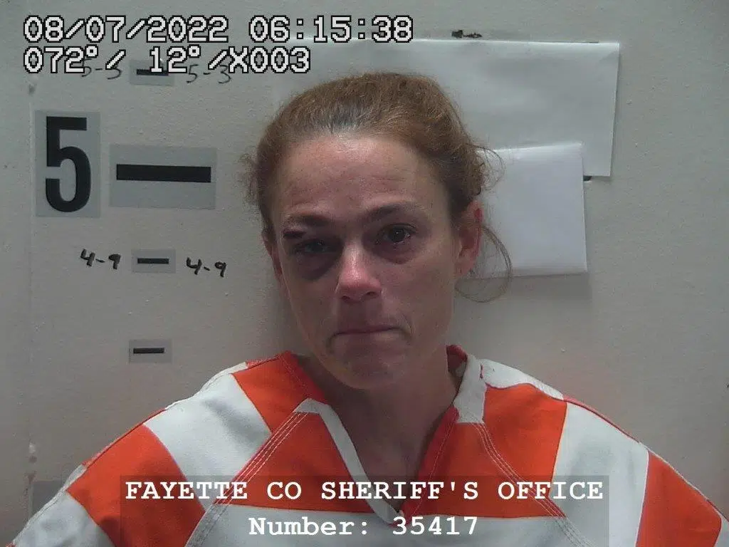 St. Elmo woman charged with 2 Felonies in connection with vehicle accident