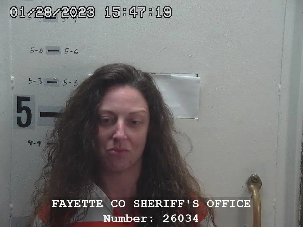 Vandalia woman facing multiple Felony Charges in Fayette Co Court