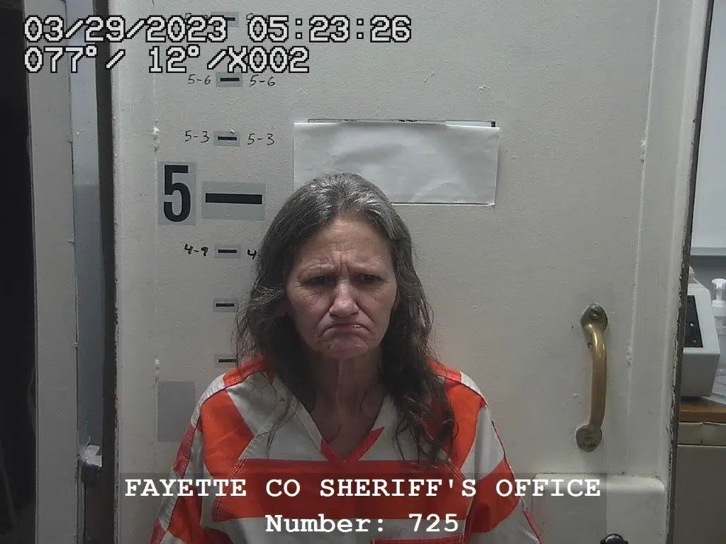 Vandalia woman charged with 4 Felonies in Fayette County Court