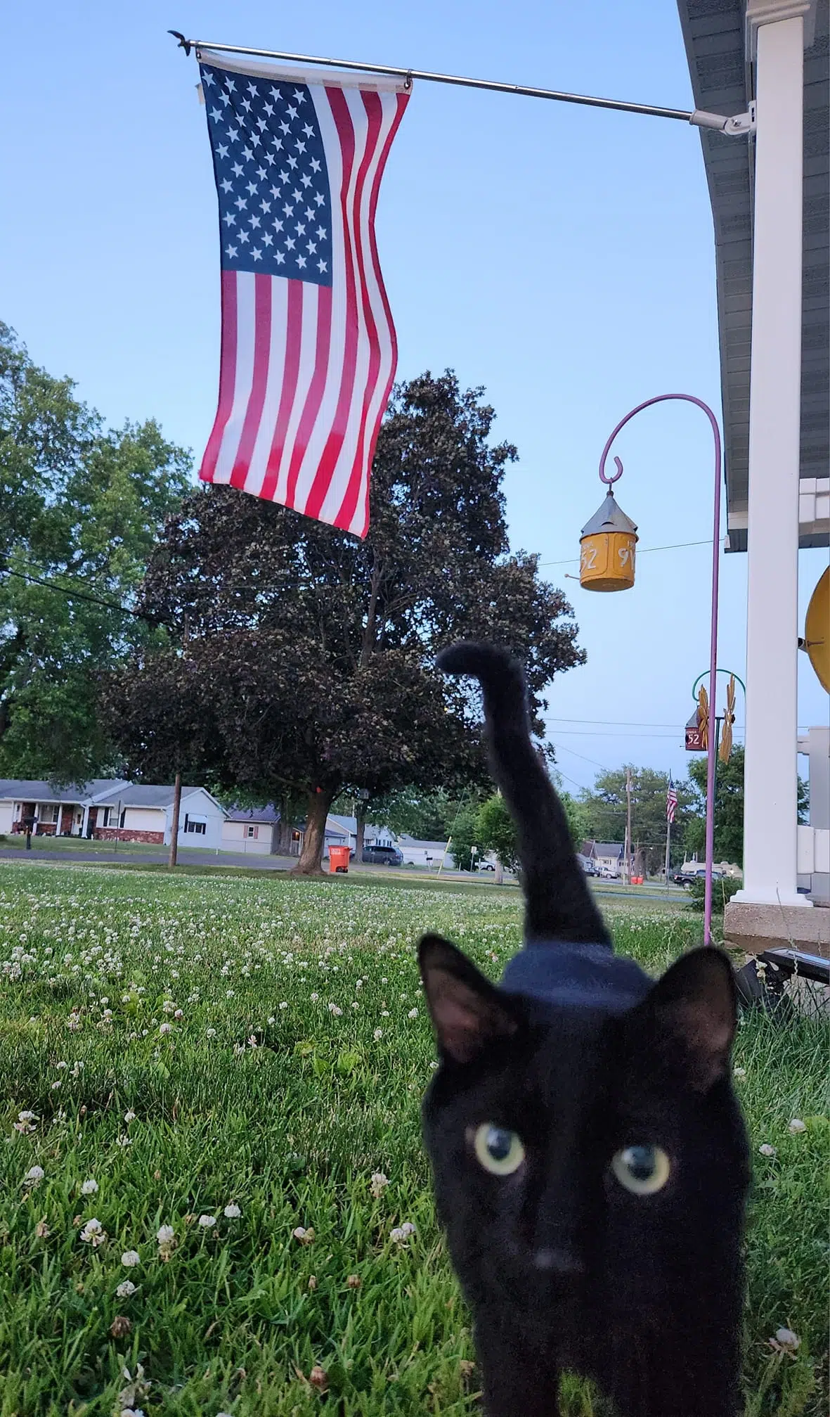 Cooler & less humid today