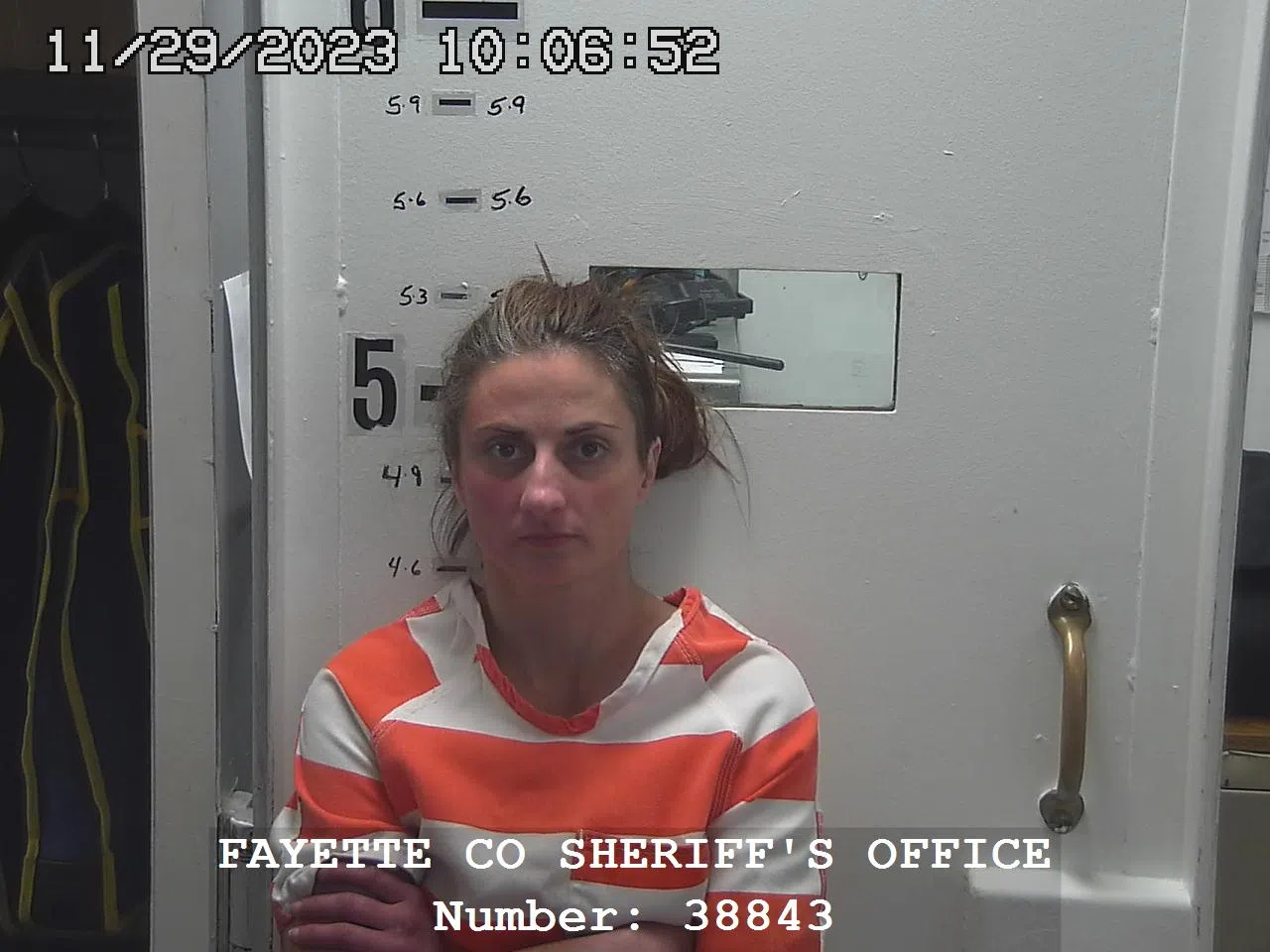 Bluford woman facing multiple felony charges in Fayette County Court