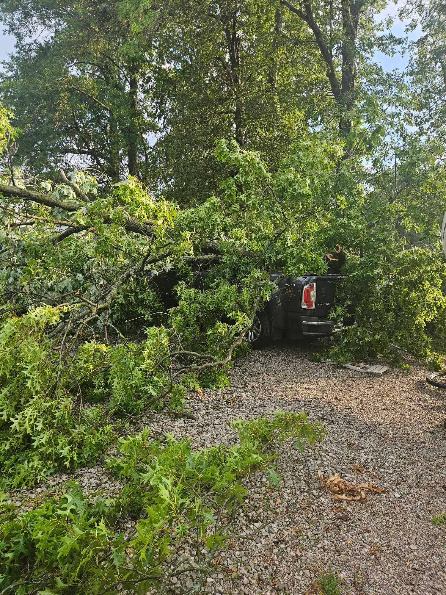 Heavy Rain & Storms hit part of Fayette Co on Wednesday afternoon, leaving behind some damage at Vandalia Lake