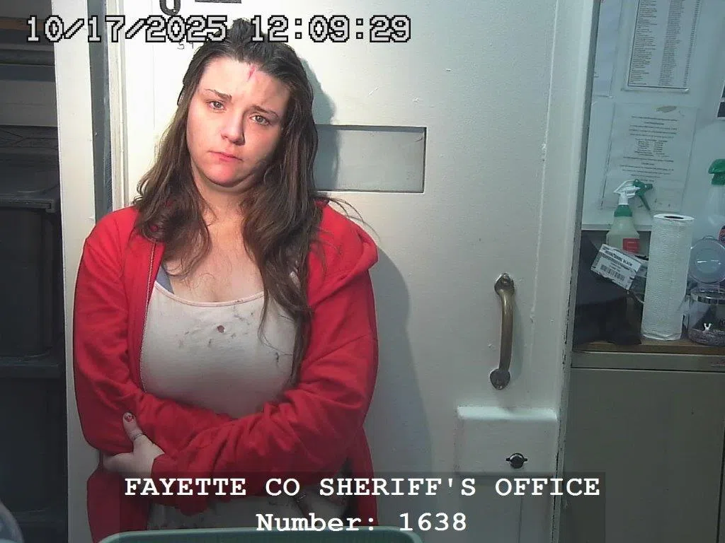 Vandalia woman facing multiple counts, including 3 Felony charges, in Fayette Co Court