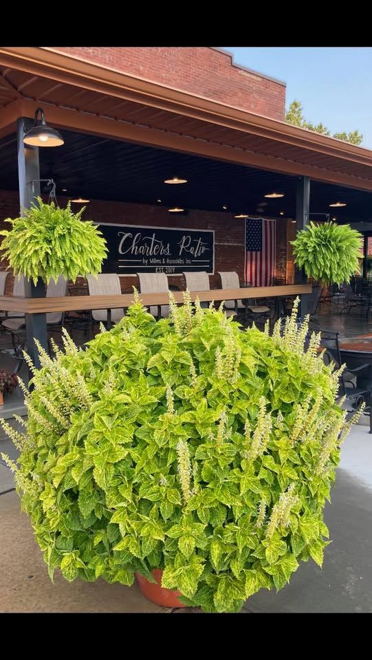 Charter's Patio Season Finale is this Saturday night