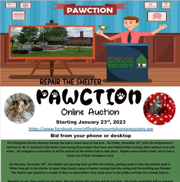 Effingham County Humane Society Online Auction