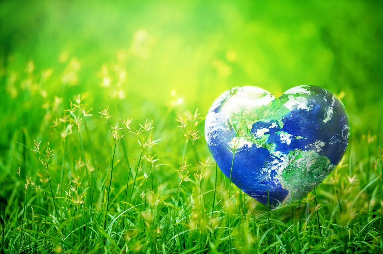 Earth Day Activities Head Online at WVC