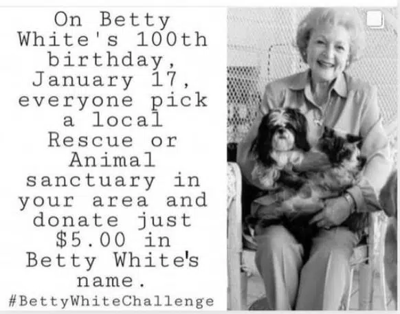 Fisher Chiropractic Honouring Legacy of Betty White While Raising Funds for Animal Shelter