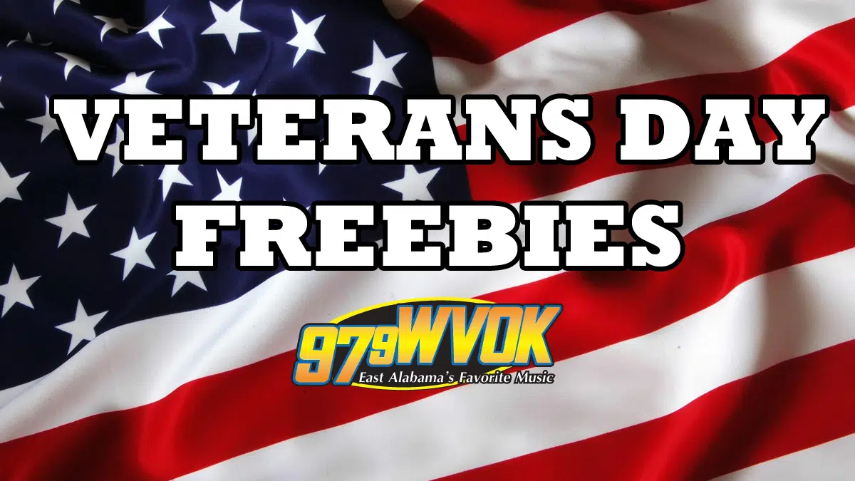 VETERANS DAY FREEBIES 2020