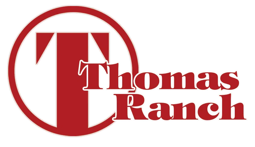 Thomas Ranch ranks 10th in Angus registrations for South Dakota during 2024