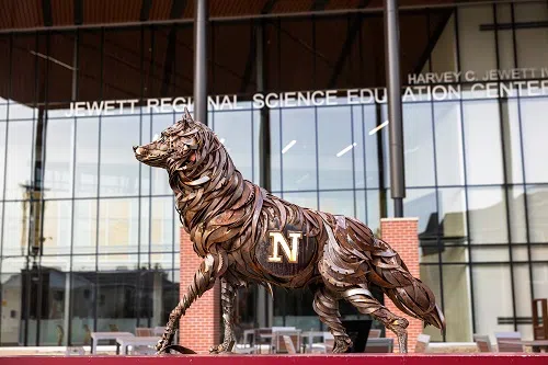 Board of Regents approves new academic opportunities for Northern State University