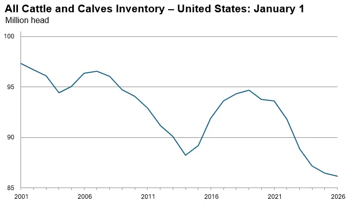 United States cattle inventory down slightly