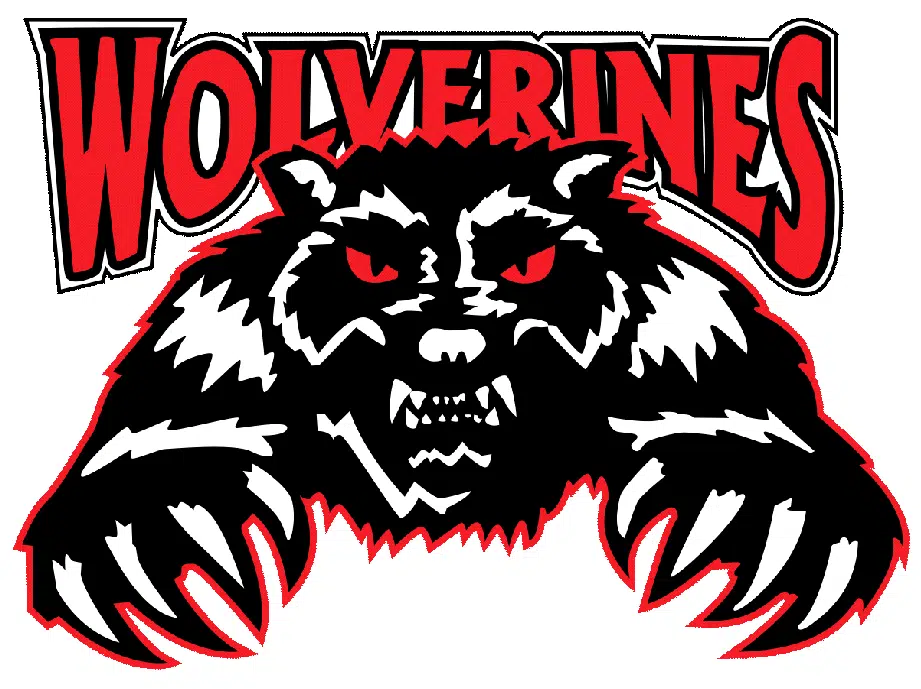 Wolverines beat Bobcats 4-2